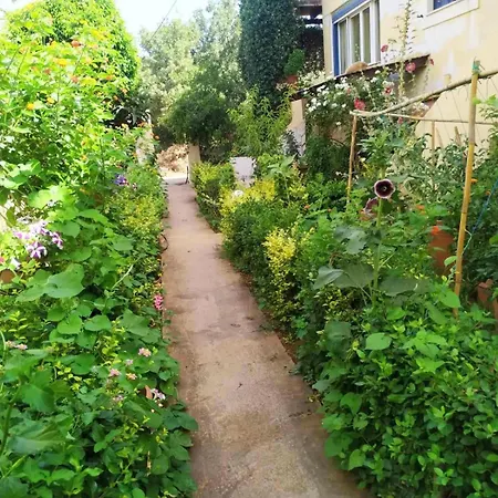 Rethymno, Atsipopoulo Neighborhood, Whole House For Up To 6 People